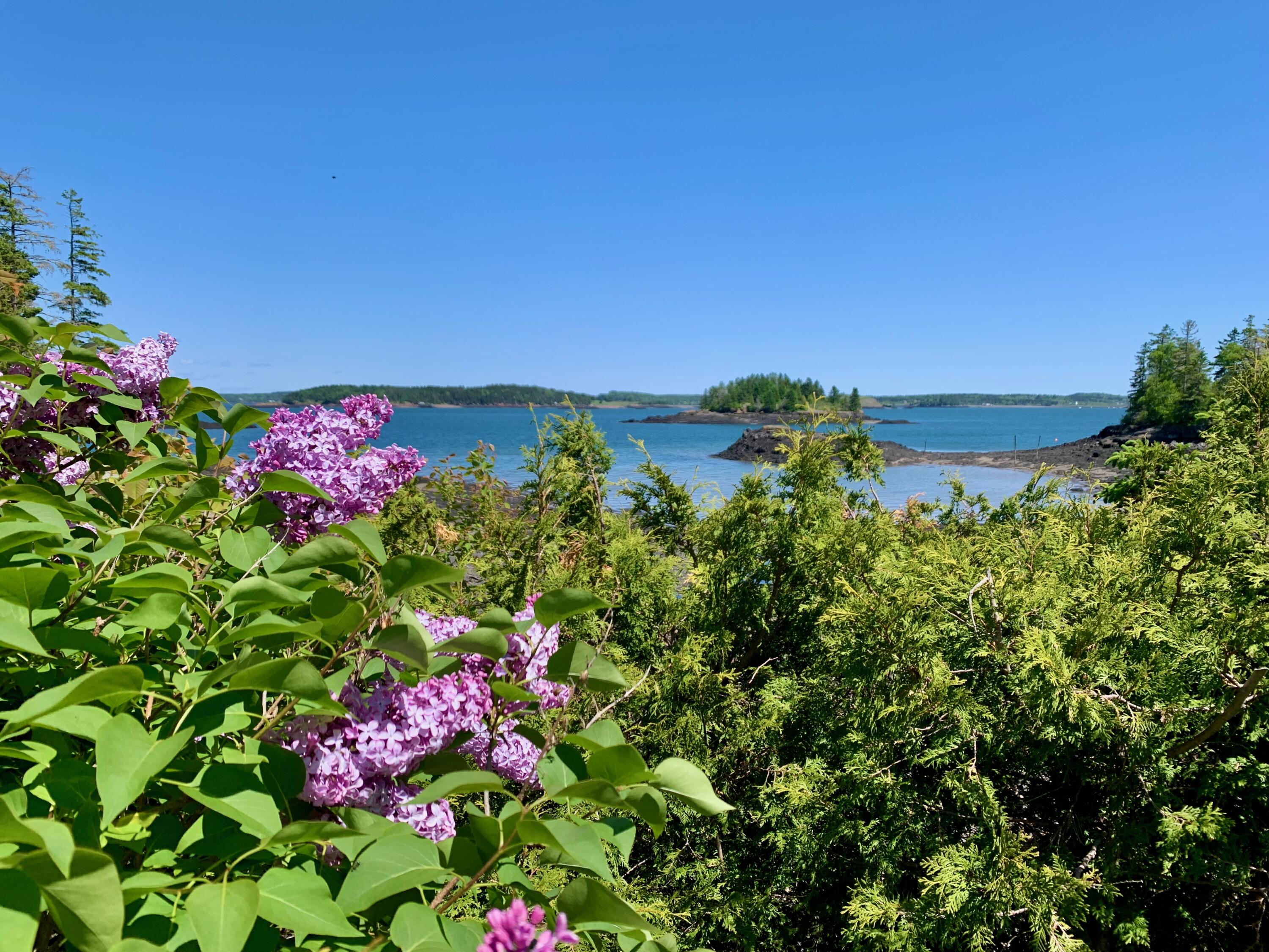 599 North Lubec Road Lubec ME 04652