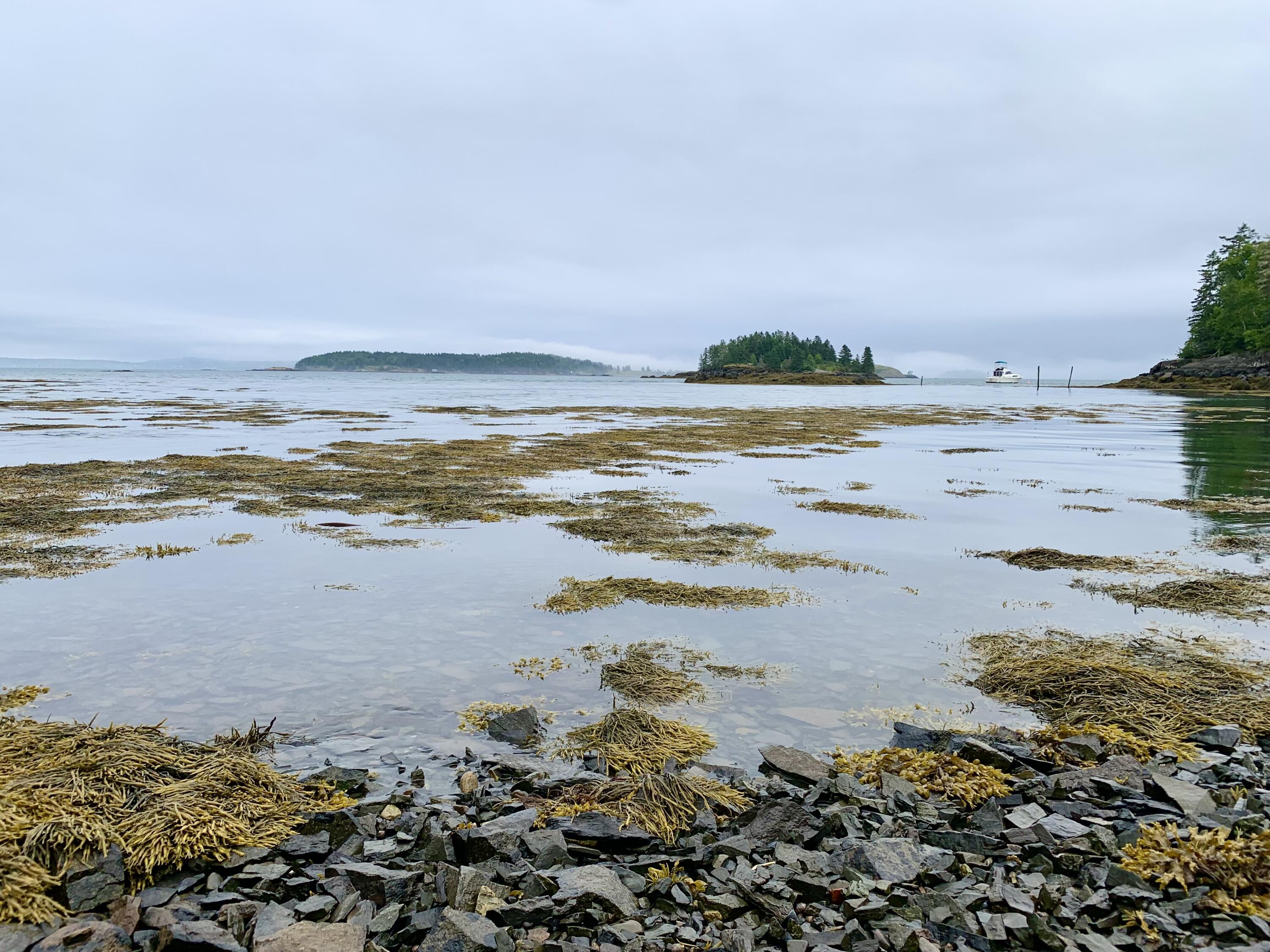 599 North Lubec Road Lubec ME 04652