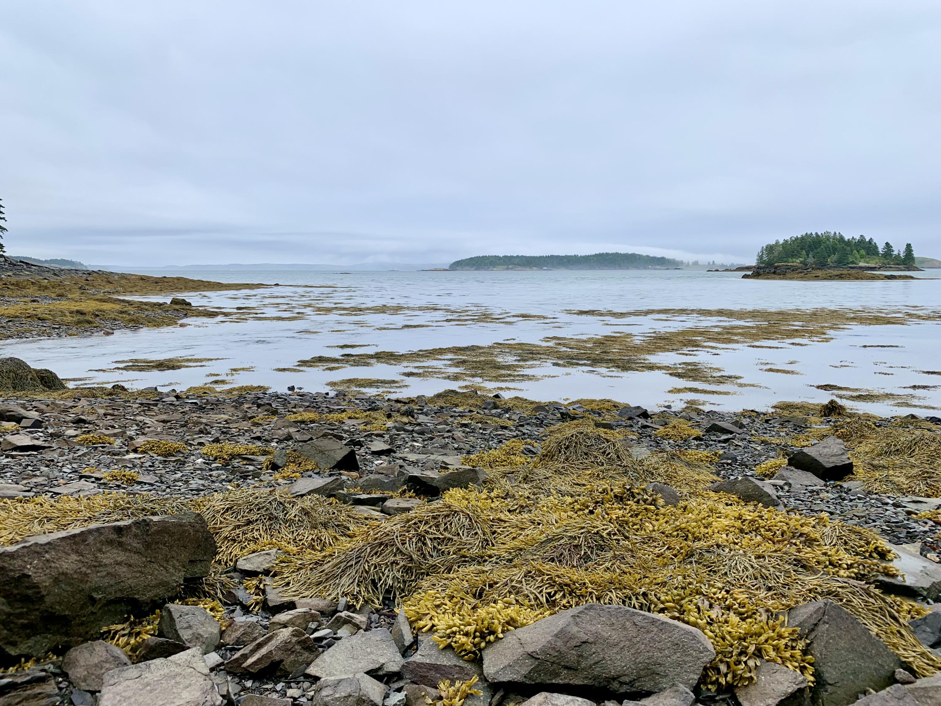 599 North Lubec Road Lubec ME 04652