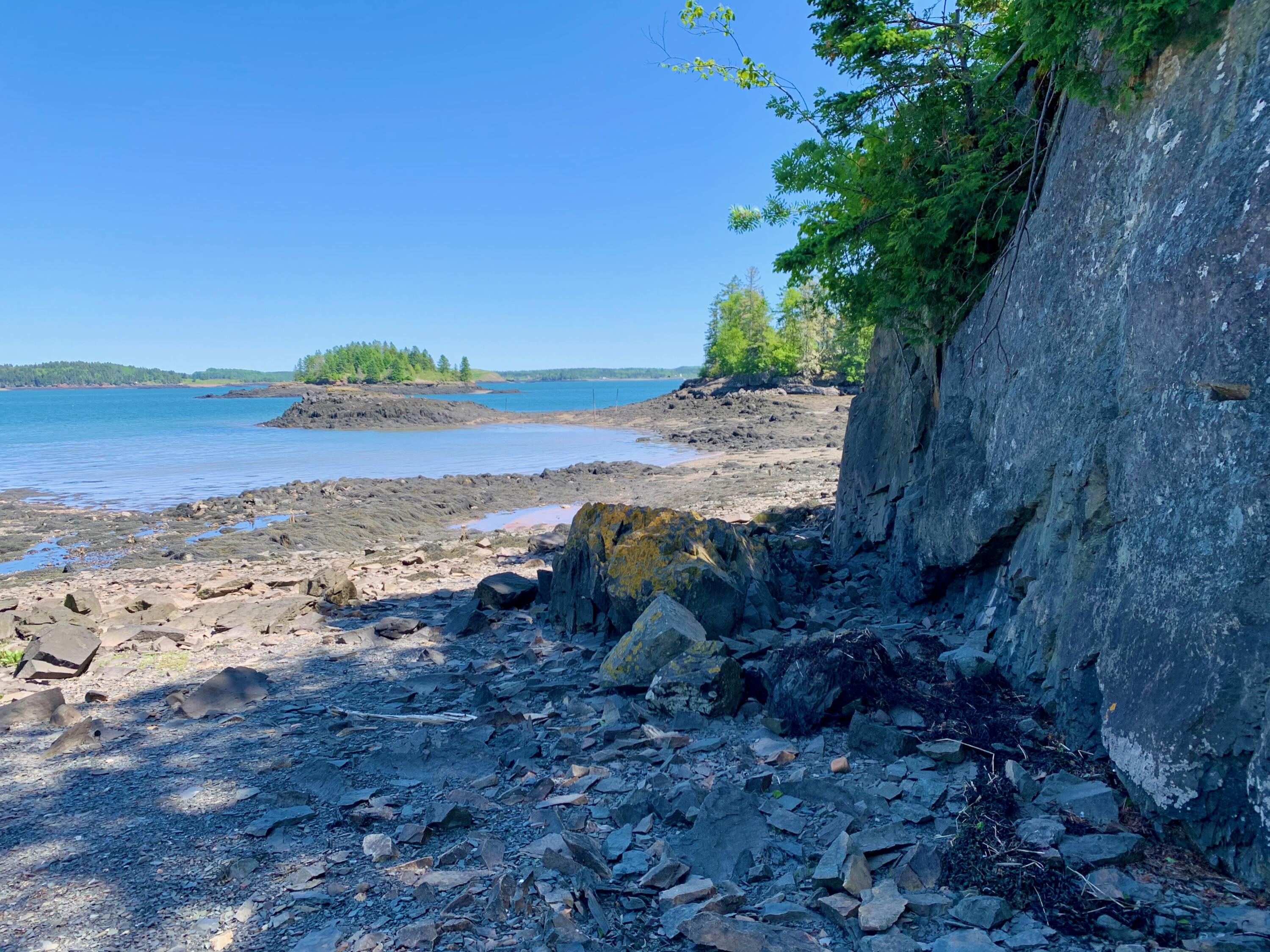 599 North Lubec Road Lubec ME 04652