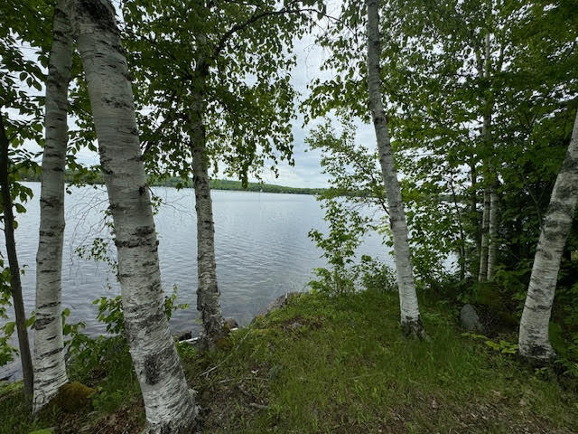 110 S Shore Road Alexander ME 04694