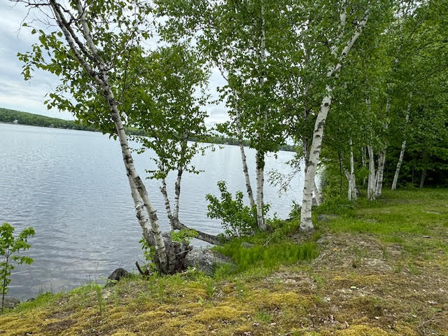 110 S Shore Road Alexander ME 04694