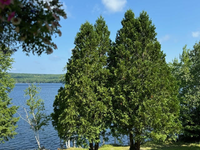 110 S Shore Road Alexander ME 04694