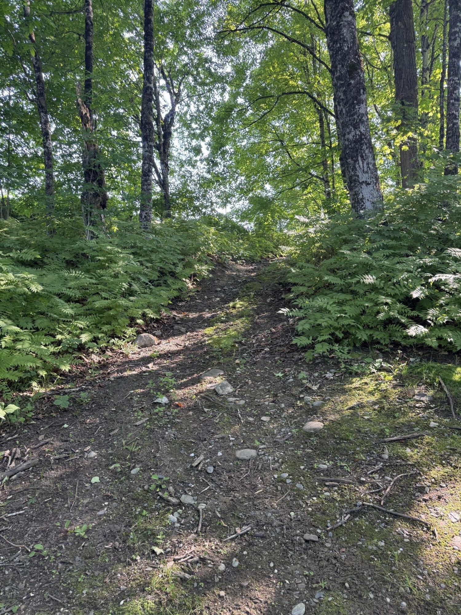 7 Pond Road Abbot ME 04406