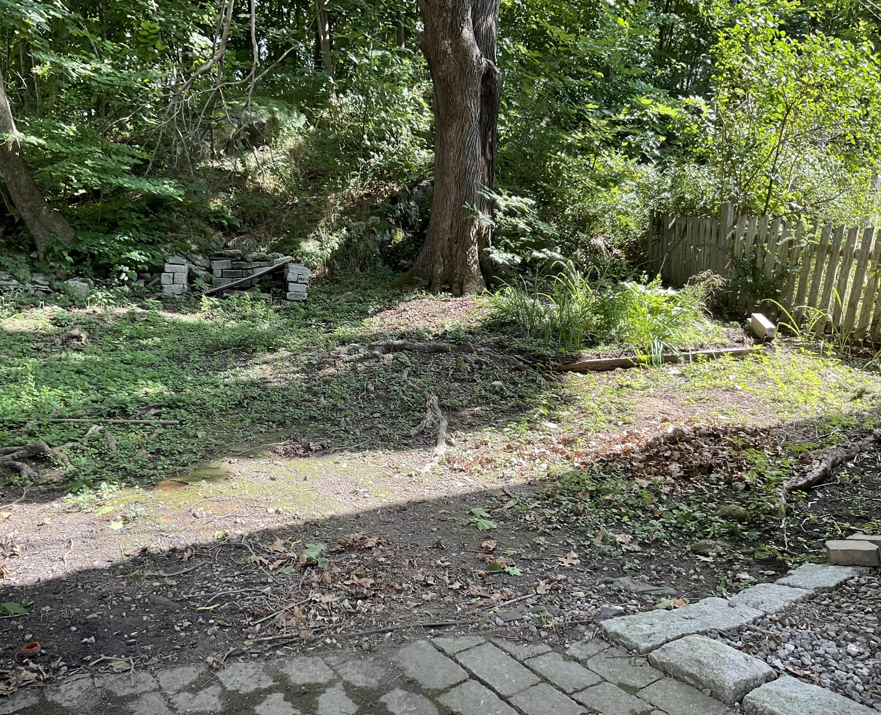 20 Oliver Street Bath ME 04530