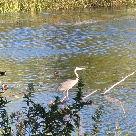 147 N Main Street Monmouth ME 04265