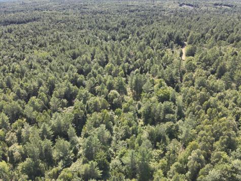 279 East Branch Road Seboeis Plt ME 04448