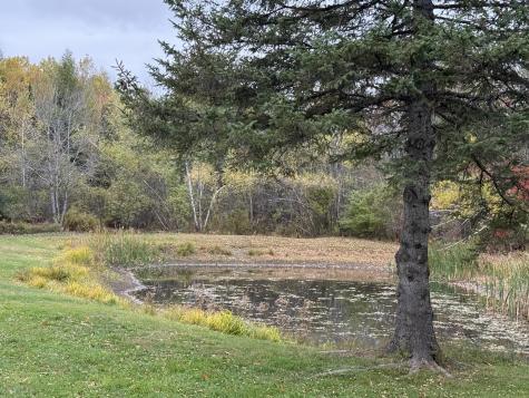 53 Line Road Sangerville ME 04479