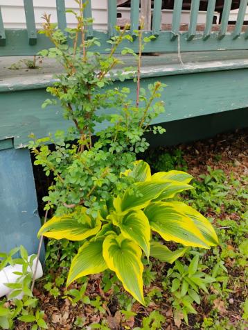 95 Sanford Street Bangor ME 04401