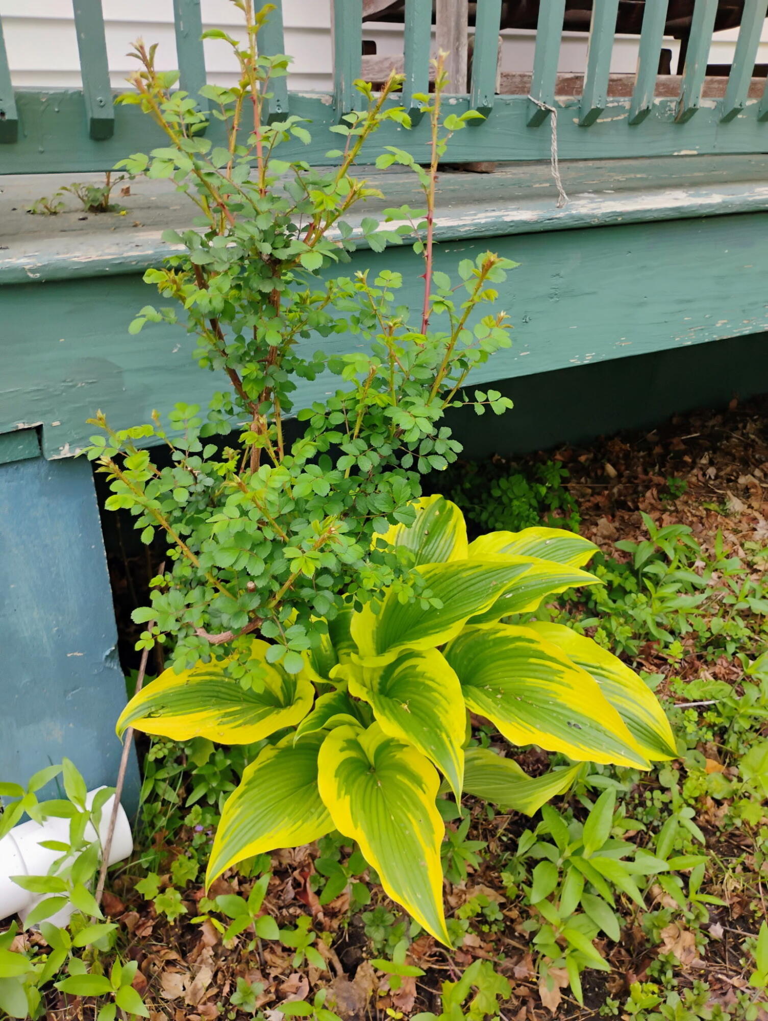 95 Sanford Street Bangor ME 04401