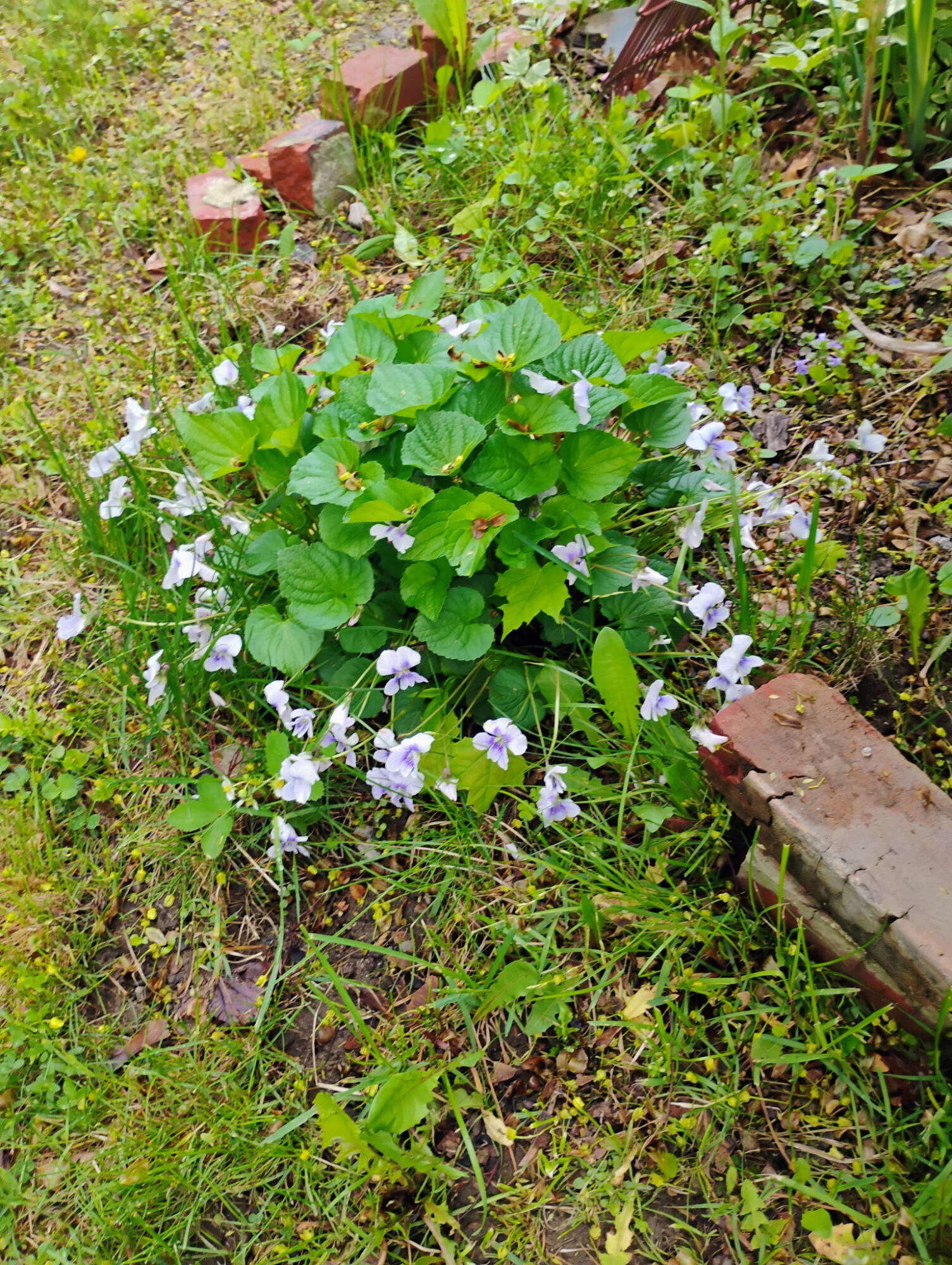 95 Sanford Street Bangor ME 04401