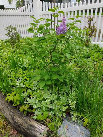 95 Sanford Street Bangor ME 04401