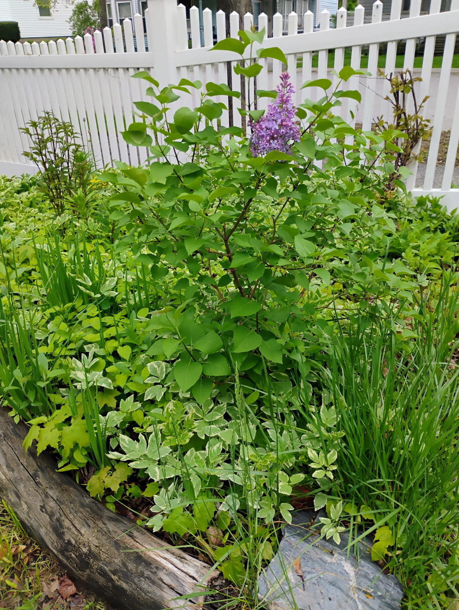 95 Sanford Street Bangor ME 04401