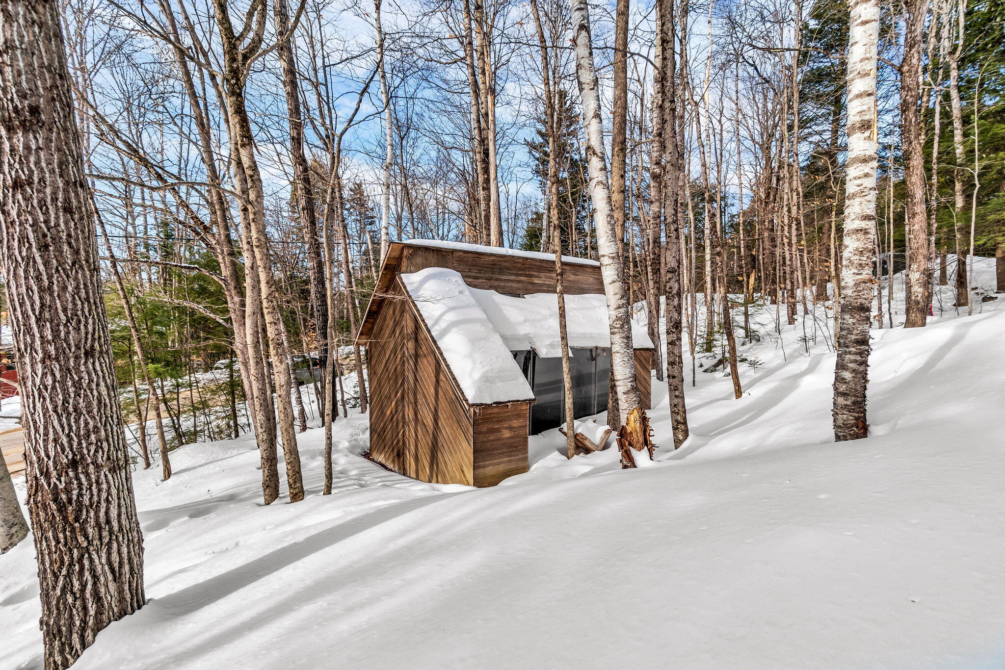 113 Bird Hill Road Bethel ME 04217