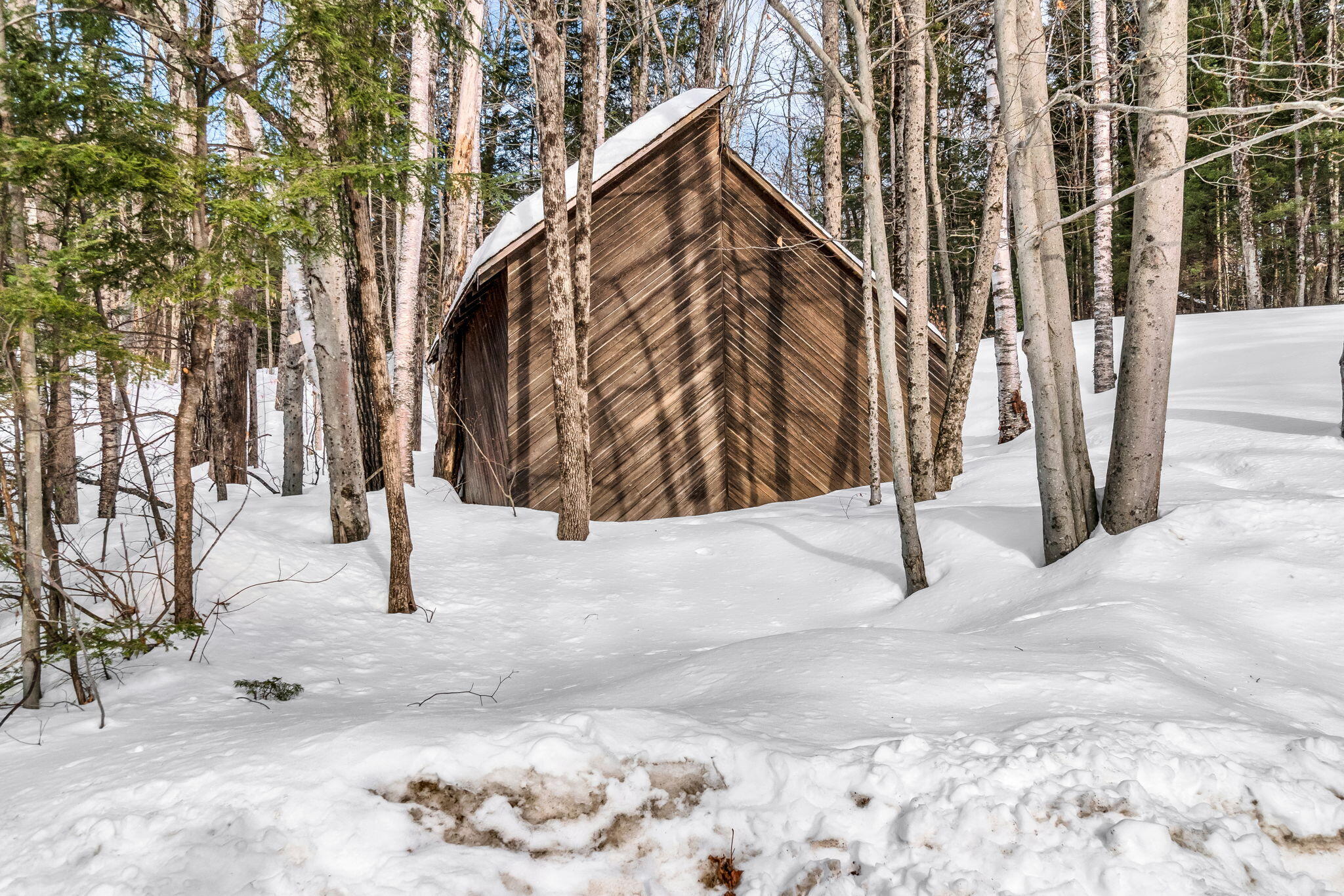 113 Bird Hill Road Bethel ME 04217