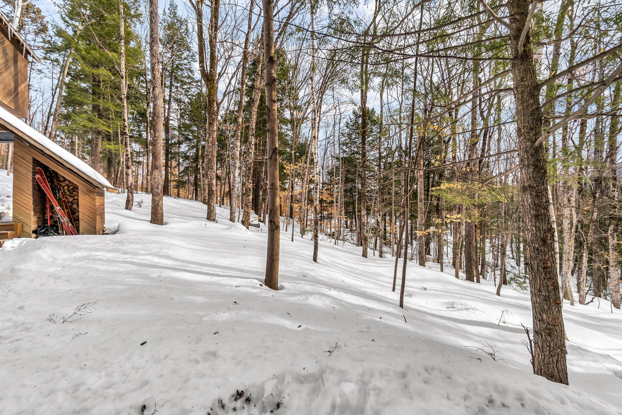 113 Bird Hill Road Bethel ME 04217