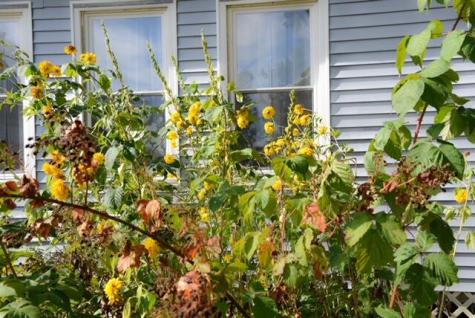 480 Webster Street Lewiston ME 04240