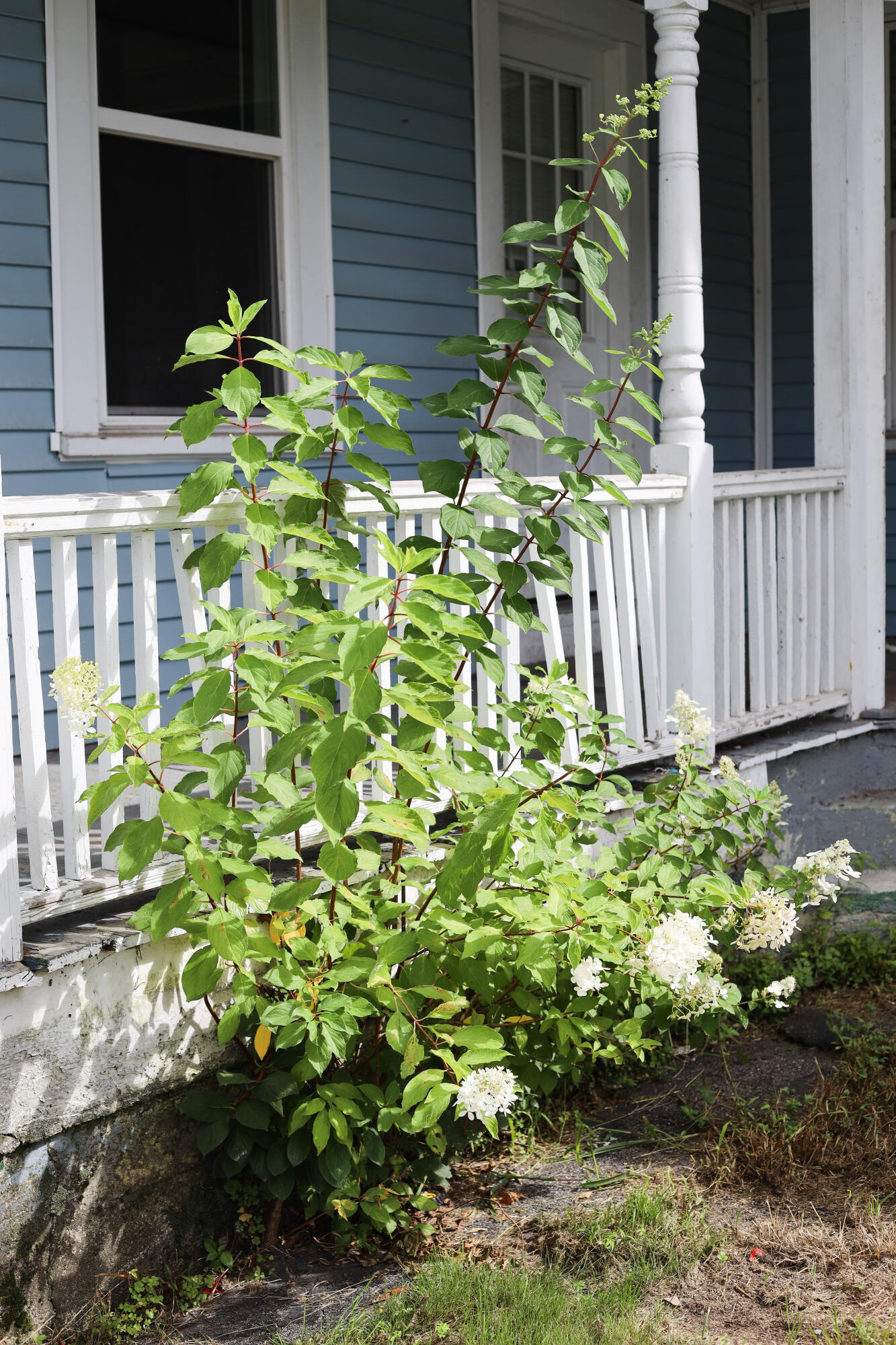 57 Federal Road Parsonsfield ME 04047