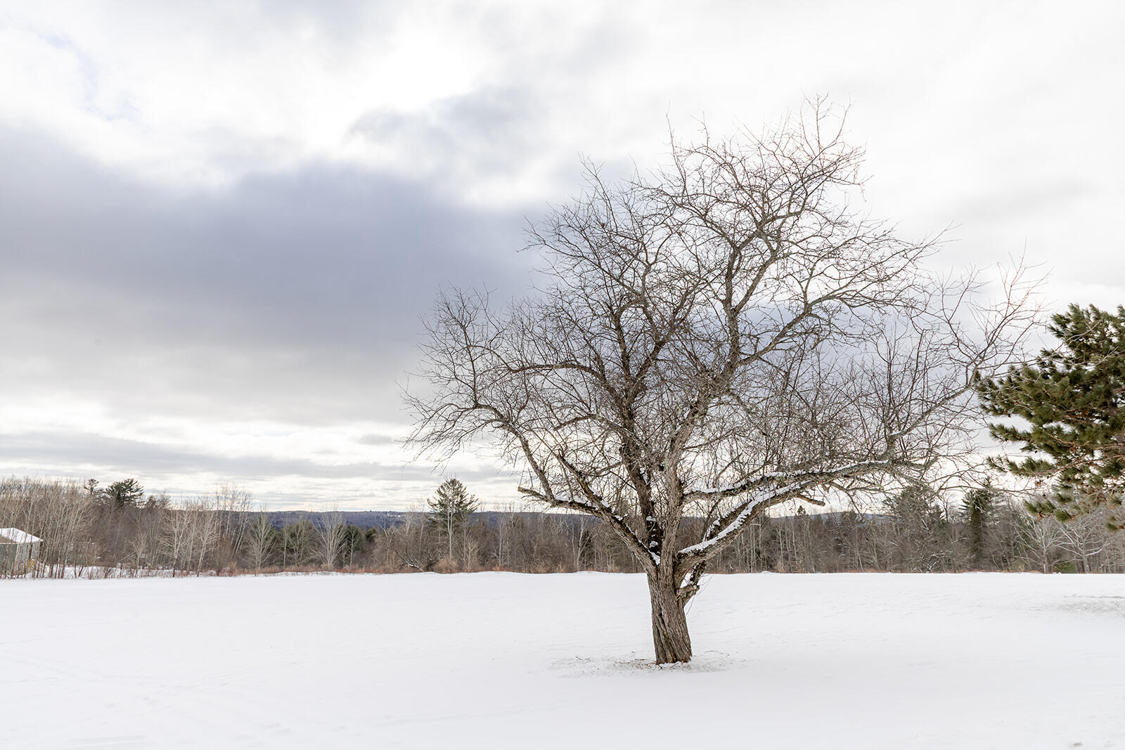 66 & 67 Bailey Hill Road Cambridge ME 04923