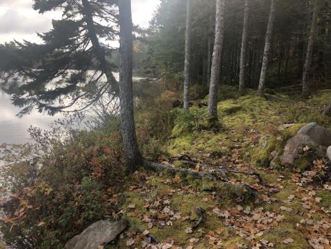 12 Harley Lane Robbinston ME 04671