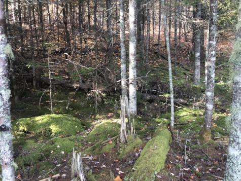 12 Harley Lane Robbinston ME 04671