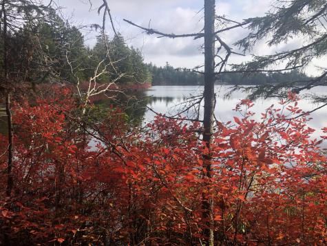 12 Harley Lane Robbinston ME 04671