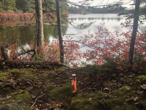 12 Harley Lane Robbinston ME 04671