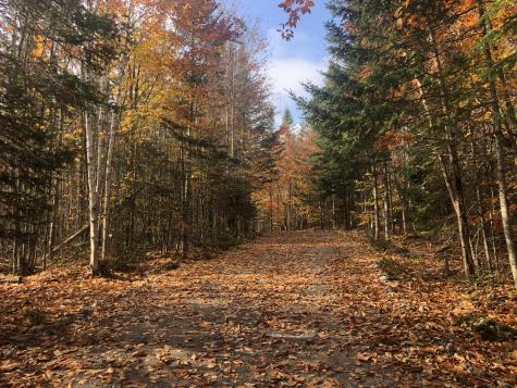 12 Harley Lane Robbinston ME 04671