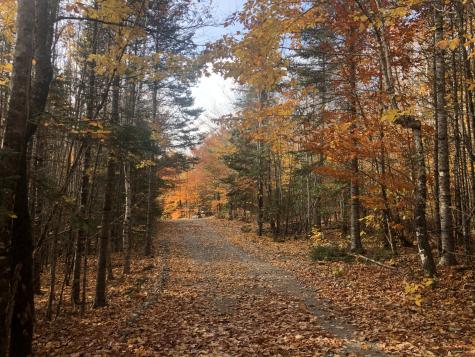 12 Harley Lane Robbinston ME 04671