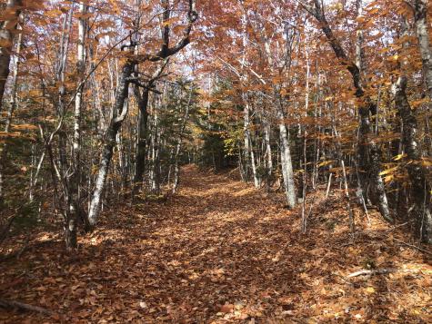 12 Harley Lane Robbinston ME 04671