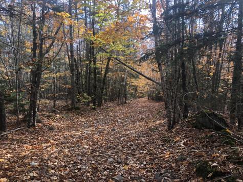 12 Harley Lane Robbinston ME 04671