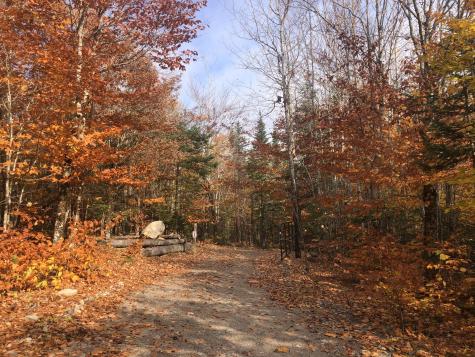 12 Harley Lane Robbinston ME 04671