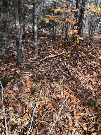 12 Harley Lane Robbinston ME 04671