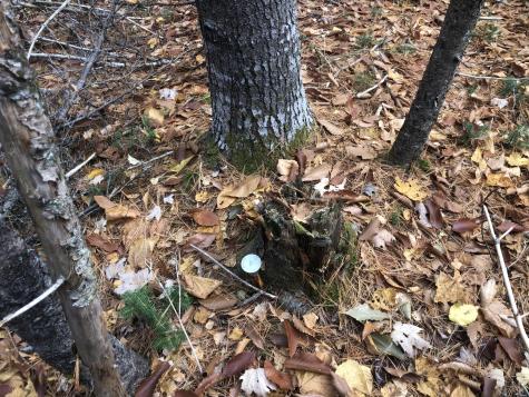 12 Harley Lane Robbinston ME 04671