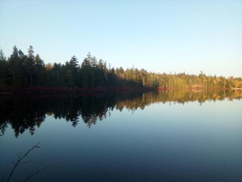 12 Harley Lane Robbinston ME 04671