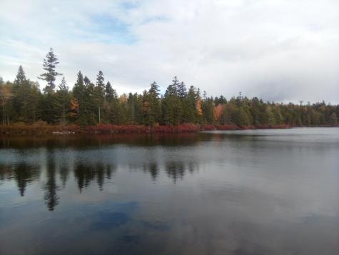 12 Harley Lane Robbinston ME 04671