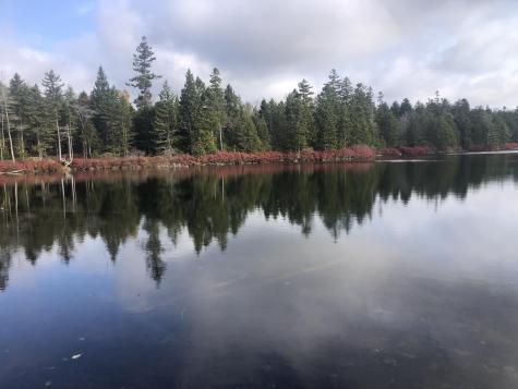 12 Harley Lane Robbinston ME 04671