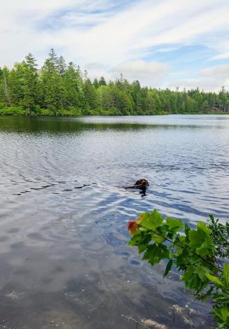 12 Harley Lane Robbinston ME 04671