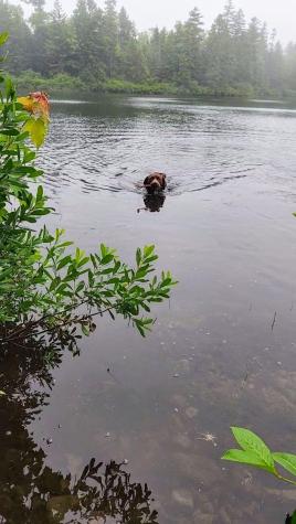 12 Harley Lane Robbinston ME 04671