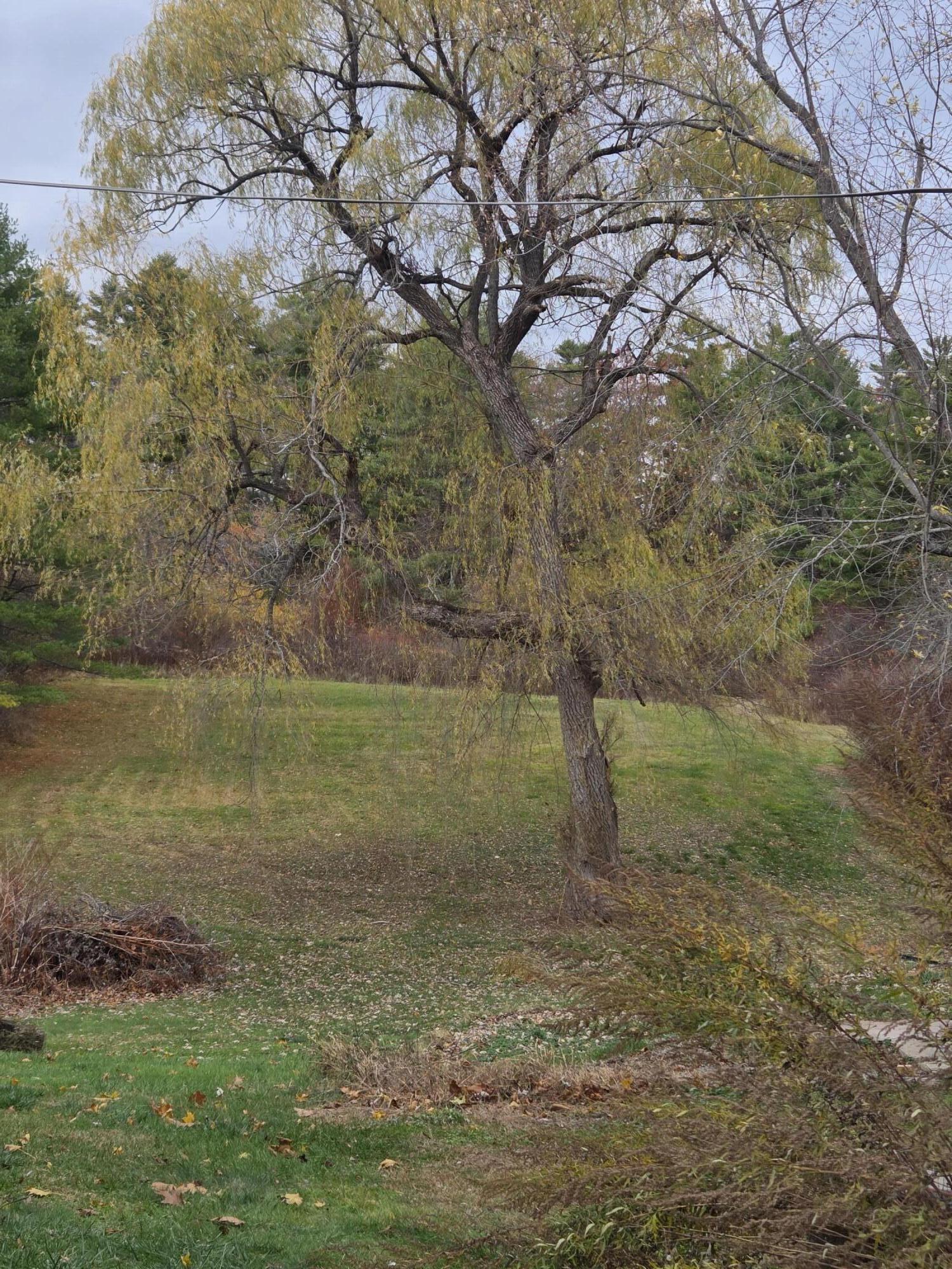 1549 Westbrook Street Portland ME 04102