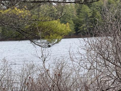 8-9 Western Stream Road Robbinston ME 04671