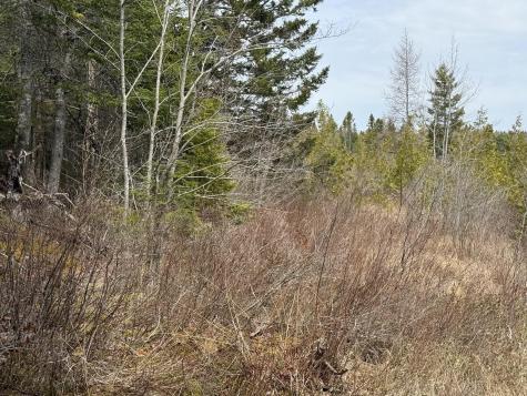 8-9 Western Stream Road Robbinston ME 04671