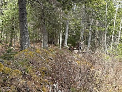 8-9 Western Stream Road Robbinston ME 04671