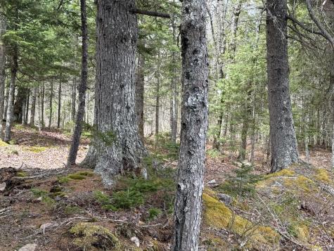 8-9 Western Stream Road Robbinston ME 04671