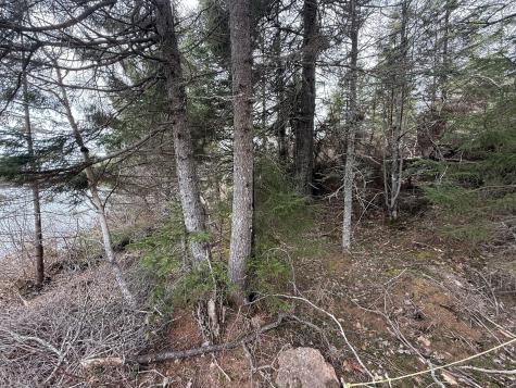 8-9 Western Stream Road Robbinston ME 04671