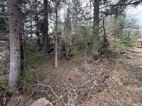 8-9 Western Stream Road Robbinston ME 04671