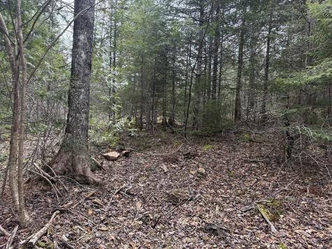 8-9 Western Stream Road Robbinston ME 04671