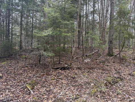 8-9 Western Stream Road Robbinston ME 04671