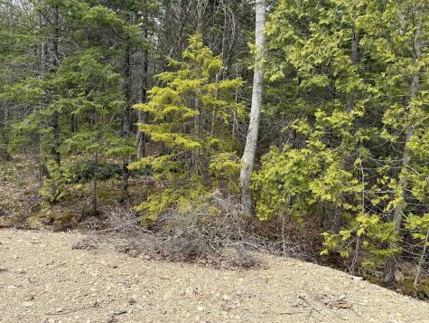 8-9 Western Stream Road Robbinston ME 04671