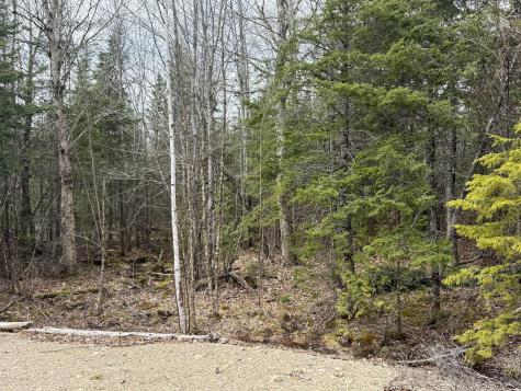8-9 Western Stream Road Robbinston ME 04671